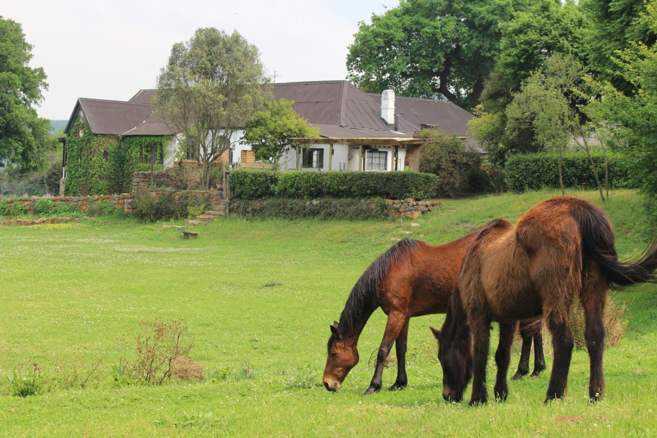 Newstead Farm - Country Cottages Curryʼs Post Екстериор снимка