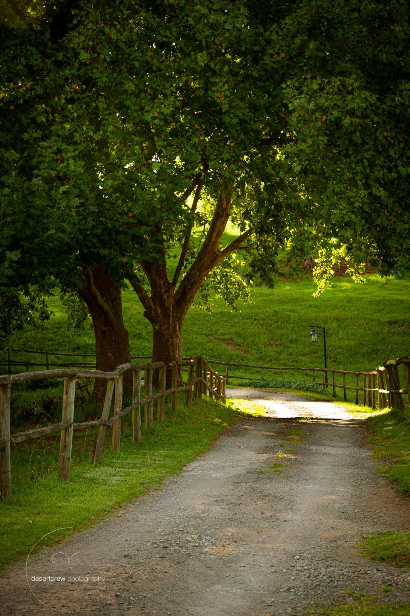 Newstead Farm - Country Cottages Curryʼs Post Екстериор снимка