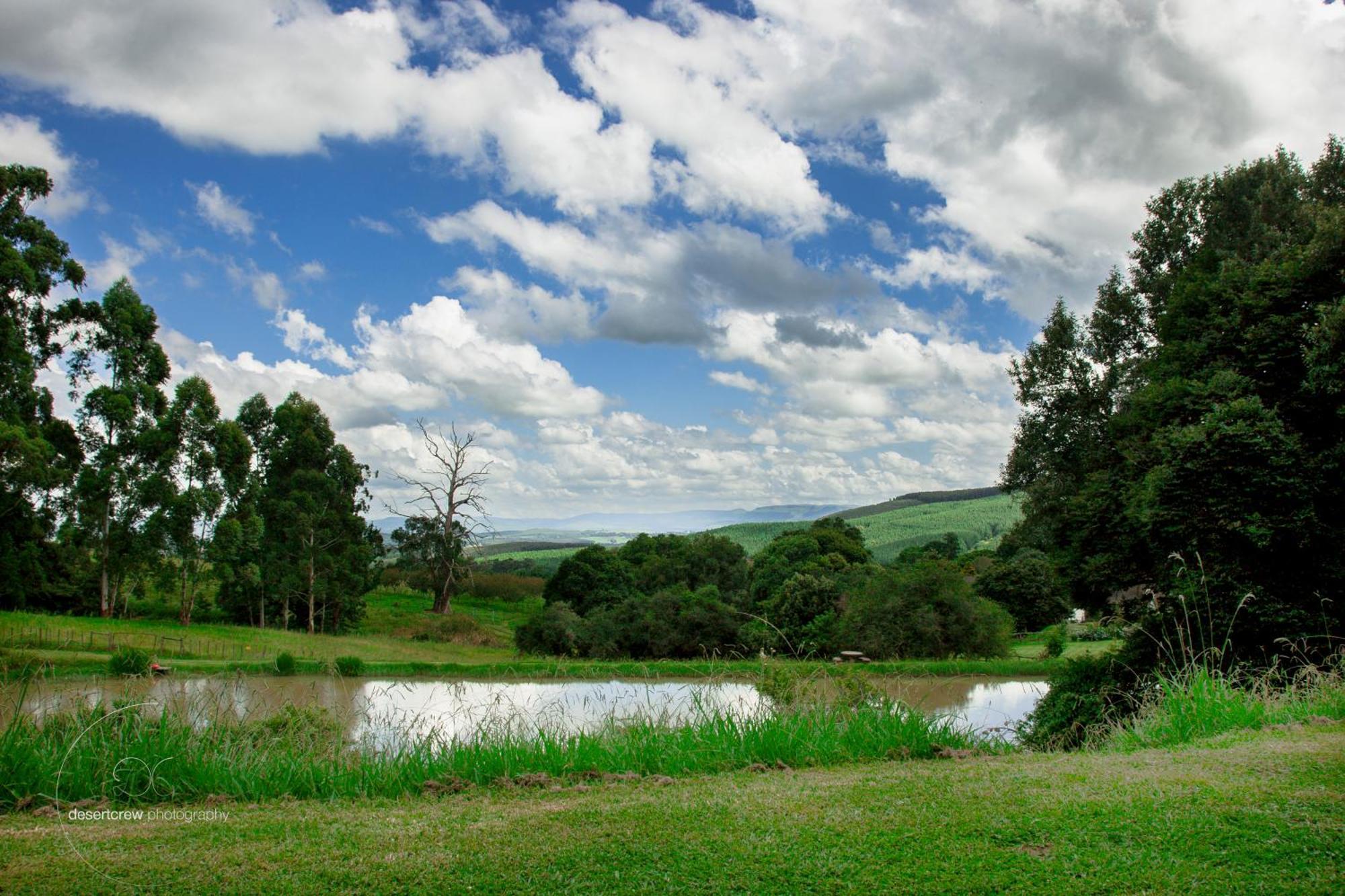 Newstead Farm - Country Cottages Curryʼs Post Екстериор снимка